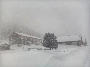 Сильный ветер и снег: в Хакасии испортится погода