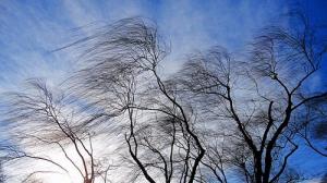 В Хакасии ожидается сильный ветер