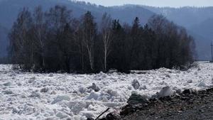  Ситуация в Абазе остаётся напряженной: подтоплено 60 дачных участков