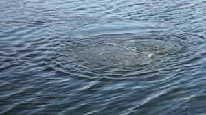 Трагедия на воде: в Черногорске утонул мужчина