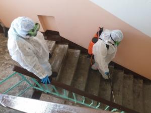 Коммунальщиков  в Абакане оштрафовали на 200 тысяч за отсутствие дезинфекции в подъездах