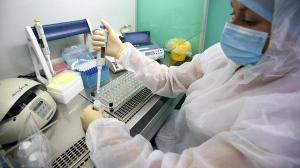 COVID-19: 180 случаев выявлено в Хакасии за сутки