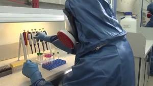 COVID-19: за сутки в Хакасии выявлено 183 новых случая