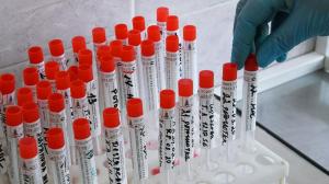 Число больных коронавирусом после праздников увеличилось