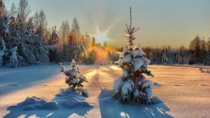 До -45°C: в ближайшие два дня в Хакасии ожидаются сильные морозы