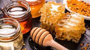 На прилавках корейских магазинов могут появиться продукты питания из Хакасии