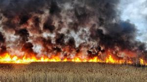 Хакасия установила рекорд по количеству пожаров