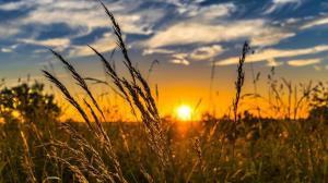 Синоптики дали прогноз на неделю в Хакасии