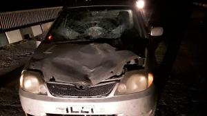 В Хакасии водитель в сумерках насмерть сбил пешехода