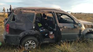 В Хакасии автомобиль улетел в кювет из-за коровы