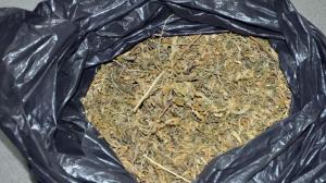 За хранение наркотиков полиция задержала жителя села Бондарево