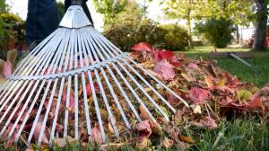 Осенние субботники начались в Абакане