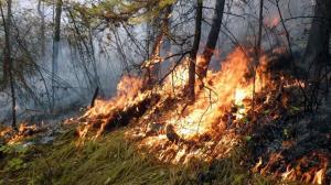 Лесной пожар тушили в Хакасии