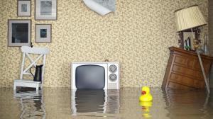 200 тысяч рублей взыскали с жителей Черногорска, затопивших квартиру соседей 