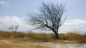 Сильный ветер ожидается в Хакасии