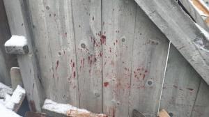 Жительница Курагинского района убила соседку молотком