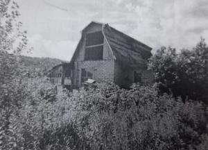 Убийство за кражу дров: саяногорец 5 лет скрывался от правосудия