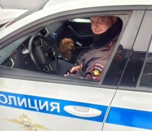 Красноярские полицейские вернули собаку хозяевам из Хакасии