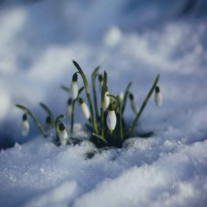 Плюсовая температура ожидается завтра, 18 января, в Хакасии