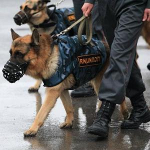 Красноярских школьников задержали за сообщения о минировании