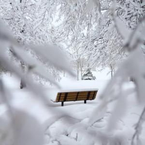 Небольшое потепление ожидает жителей Хакасии завтра, 26 января