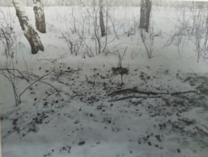 Житель Шушенского района погиб из-за ревности