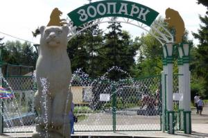 Африканского ёжика и пятнистого оленя продают в Абаканском зоопарке