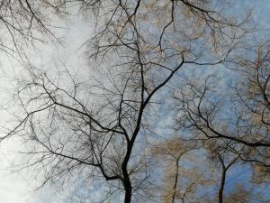 2 апреля по Хакасии очень сильный северо-западный ветер