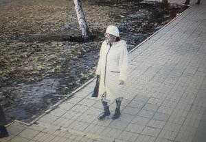 Мошенница "сняла порчу" за 20 тысяч рублей в Черногорске