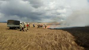 Природный пожар потушили в заповеднике "Хакасский"