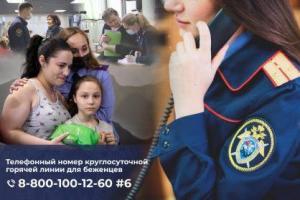 Горячая линия для беженцев из ДНР, ЛНР и Украины открылась в СК РФ