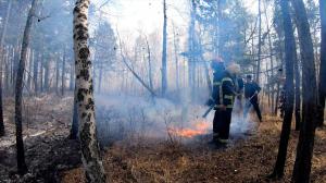 В Хакасии за сутки возникло пять лесных пожаров