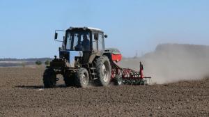 В Хакасии начался сев зерновых культур