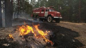 Не допустите ландшафтных и лесных пожаров!