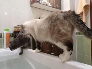 Горячая вода завтра вернётся в квартиры абаканцев