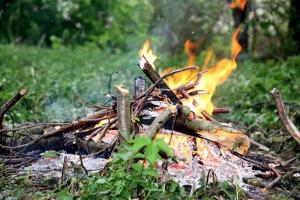 Особый противопожарный режим действует последний день в Хакасии