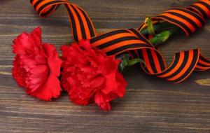 Георгиевская лента может получить статус символа воинской славы России и Победы