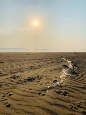 В Саяно-Шушенском и Красноярском водохранилищах уровень воды ниже, чем за последние 20 лет