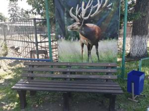 Экологичная скамейка появилась в Абаканском зоопарке