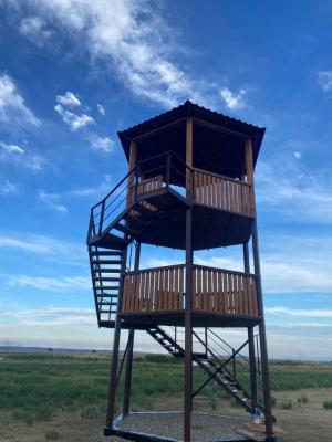 Наблюдать за птицами с высоты 7 метров в Хакасии