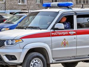 Черногорец пытался выбить окно детским велосипедом