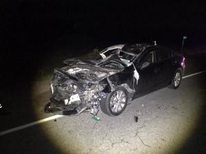 Три лошади погибли под колёсами в Алтайском районе