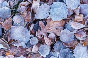 Завтра в Хакасии похолодает