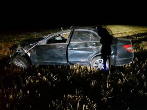 Водитель в коме, животные погибли