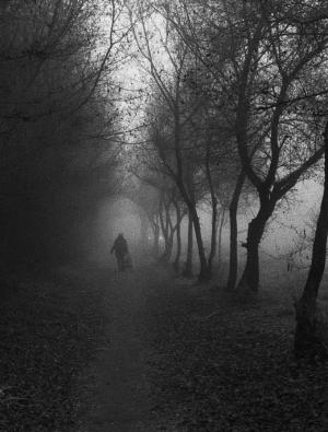 Фотография студентки ХГУ украсит станцию метро в Москве