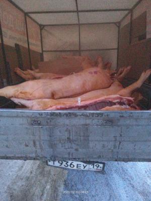 Почти тонну сомнительной свинины хотели продать в Абакане