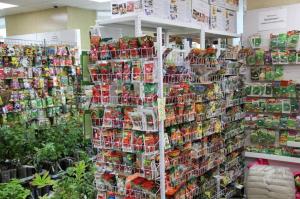 «Шоколадные свечи» и «чудо-пальчики»: нелегальные семена продавали в Абакане