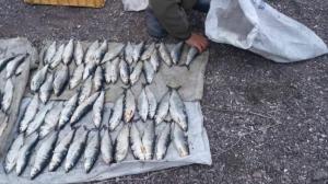 Рыбаку из Хакасии грозит до двух лет лишения свободы