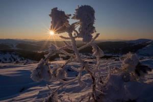 В природном парке «Ергаки» обустроят около 700 метров экотроп