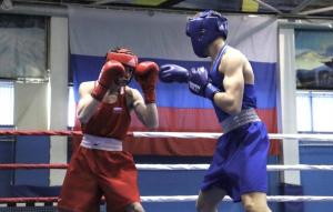 Боксеры из Хакасии - на пьедестале первенства Сибири